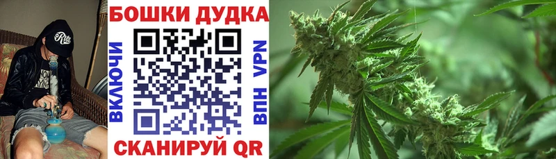 Канабис гибрид Данилов